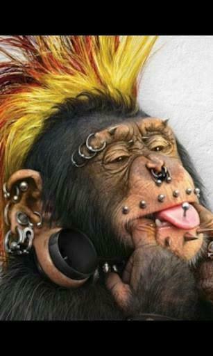 Bigger Crazy Monkey Live Wallpaper For Android Screenshot