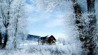 Nice Winter Day