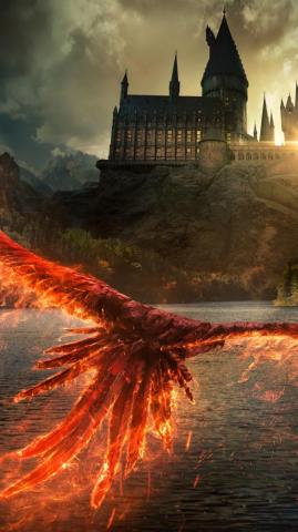 Phoenix Hogwarts Castle School Fantastic Beasts 4k Wallpaper