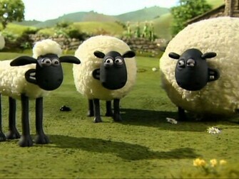 Shaun The Sheep HD Wallpaper For Desktop