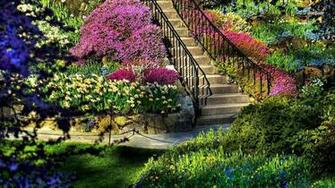 Colorful Nature Wallpaper