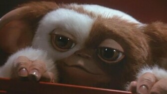 Un Remake De Gremlins Serait En Cours Pr Paration