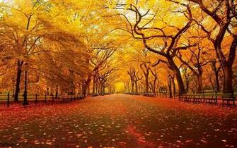 Cool Fall Background