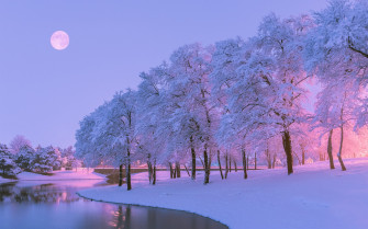 Wallpaper Beautiful Winter Snow Trees River Moon Dusk