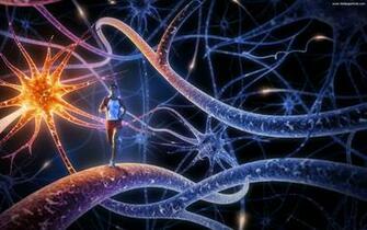 Best Inside Brain Desktop Wallpaper Background Collection