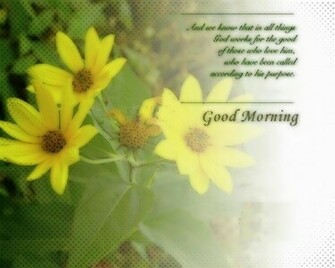 New Good Morning Wallpaper