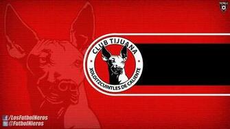 Tijuana Xolos Wallpaper Football