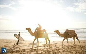 This Week S Wallpaper Of Essaouira Morocco Is Provided Here
