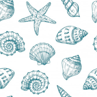 Blue Seashell Wallpaper