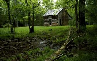 Cabin In The Forest Wallpaper High Resolution At Architecture