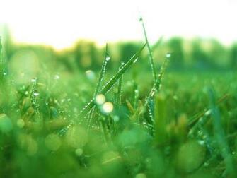 Vistamizer Windows Vista Wallpaper Pack Obrazy I Video