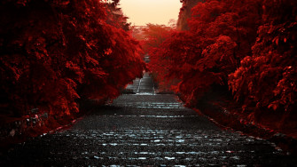 HD Japan Background Wallpaper
