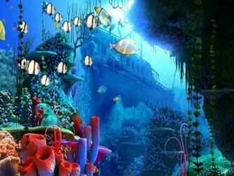 Coral Reef 3d Screensaver Pc Android iPhone And iPad Wallpaper