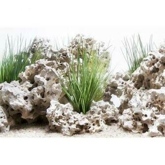Marina Planted Hideaway Texas Cloud Aquarium Background