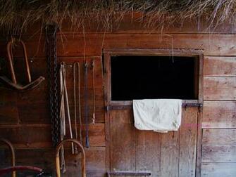 Vintage Horse Stable Wall