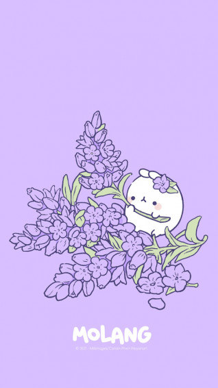Molang Flower Wallpaper Discover The Lavender Of