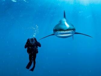 Picture Bahamas Photo National Geographic Of The Day
