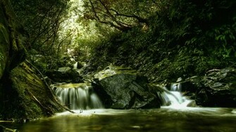 Beautiful Background For Desktop Image