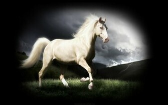 Horse Wallpaper Is A Great For Your Computer Desktop