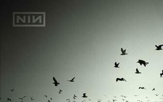 Nine Inch Nails Desktop Wallpaper