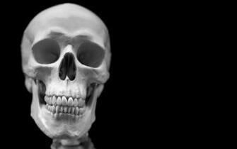 Funny Skeleton Face