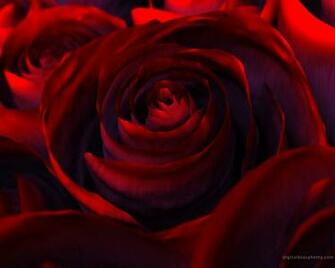 3d Valentines Wallpaper High Definition
