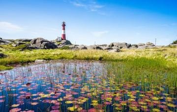 Wallpaper Summer Sky Lighthouse Pond Image For Desktop