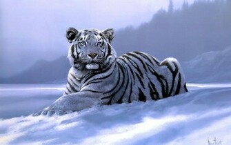 Siberian Tiger Apple Android HD Wallpaper High