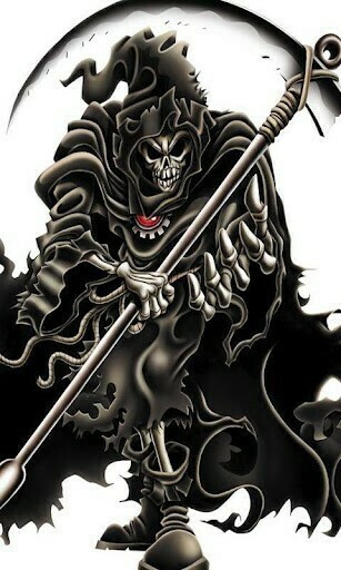 Go Back Gallery For No Fear Skull Wallpaper