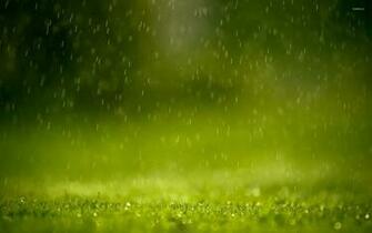 Rain Wallpaper Artistic