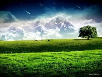 Nature Grama Wallpaper