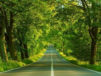 Gallery For Gt Amazing Desktop Wallpaper Nature