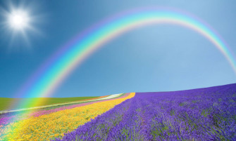 Rainbow Aesthetic Wallpaper