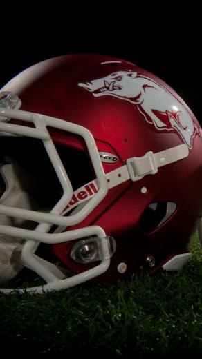 iPhone Arkansas Razorback Background Hog Database