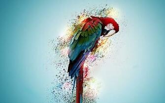 Beautiful Parrot Bird Wallpaper HD