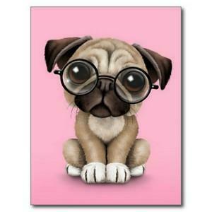 Cartoon Pug Wallpaper Car Pictures Canyon