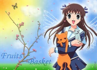 Fruits Basket Photo