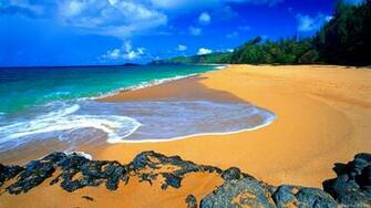 Wallpaper Hawaii Maldives Tahiti Islands Beach