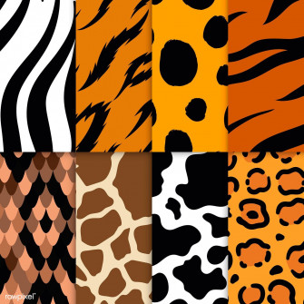 Set Of Seamless Animal Print Pattern Vectors Wallpaper