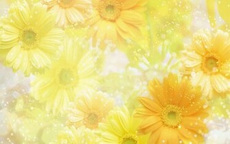 Yellow Spring Flowers Computer Desktop Wallpaper Pictures