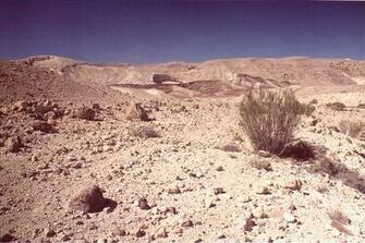 Middle East Background Search In Pictures