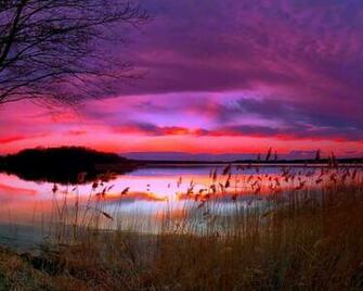 Amazing Purple Sunset Desktop Pc And Mac Wallpaper
