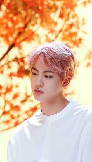 Bts Jin Blood Sweat And Tears K Shame