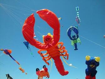Kites Image Wallpaper Group