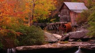 Wallpaper Fall Bright Colored Background Lovely Colors Of The