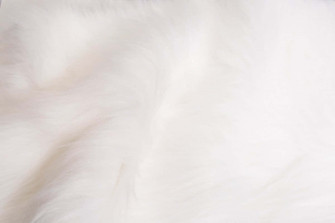 Animal Fur Picture Wallpaper