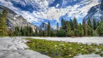 Yosemite Spring Grass UltraHD Wallpaper Printed