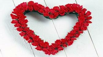 Beautiful Flower Wallpaper Rose Photos Image For Desktop