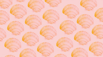 Summer Seashell Pattern Wallpaper
