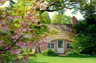 Landscaping Sunset Trees Road Home Landscape Rustic Farm House